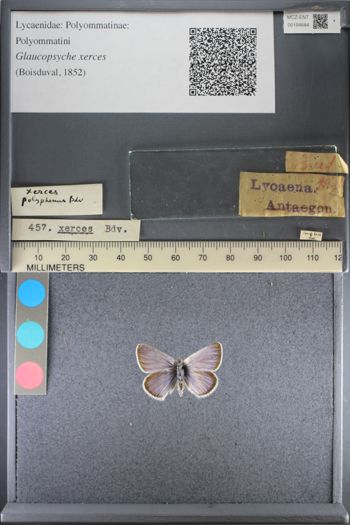 Media type: image;   Entomology 194684